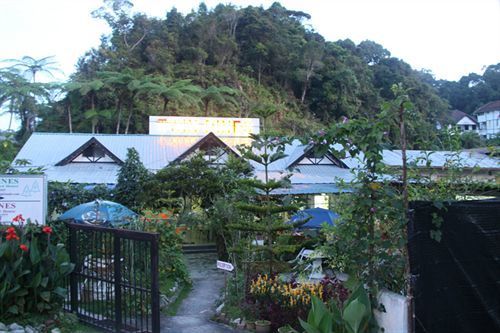 Twin Pines Guest House Cameron Highlands Exterior photo